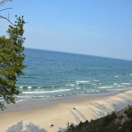 Lodge Roza Wiatrow - *